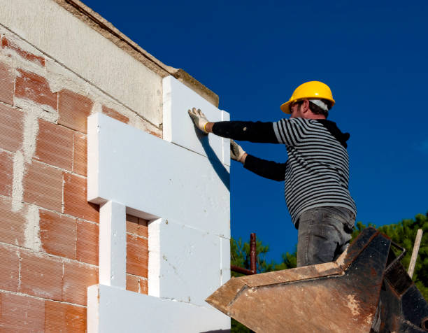 Best Geographic-Specific Insulation Services in Bishop, CA