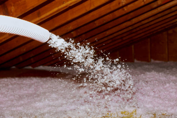 Trusted Bishop, CA Insulation Contractor Experts